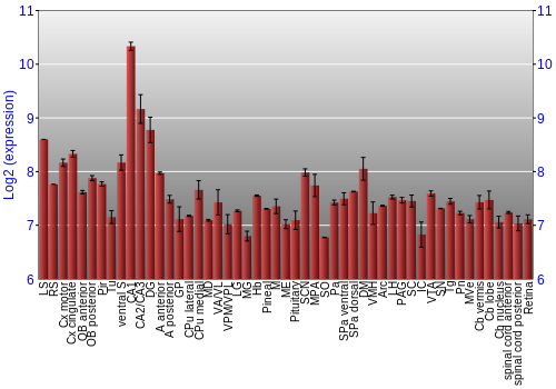 Expression graph