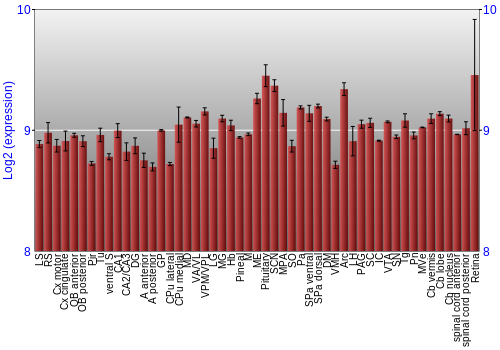 Expression graph