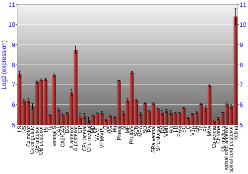 Expression graph