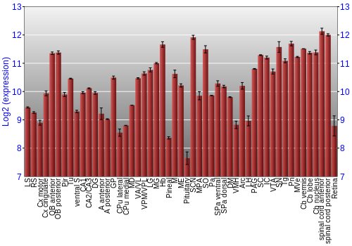 Expression graph