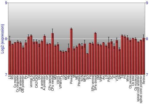 Expression graph