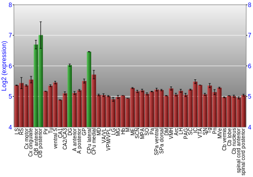 Multi-state expression graph