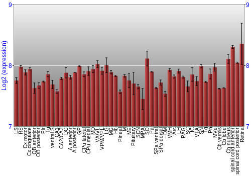 Expression graph