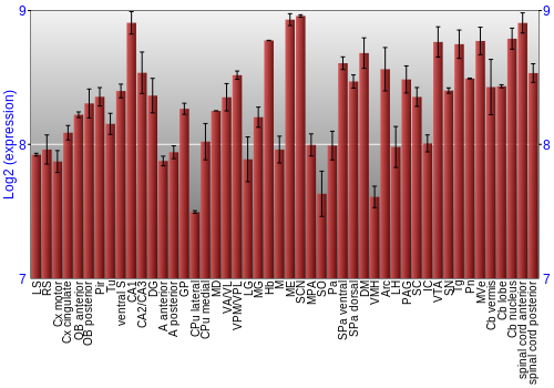 Multi-state expression graph
