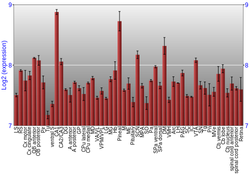 Expression graph
