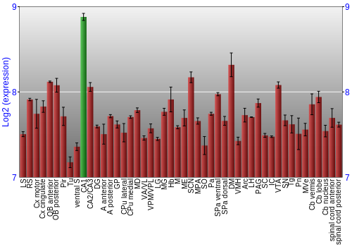 Multi-state expression graph