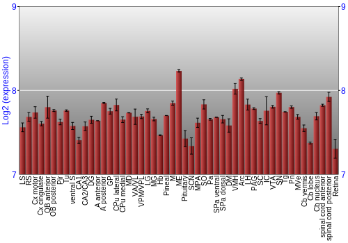 Expression graph