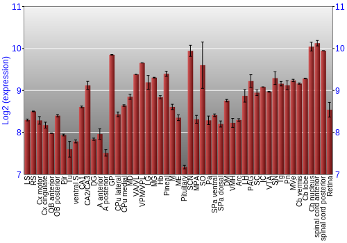 Expression graph
