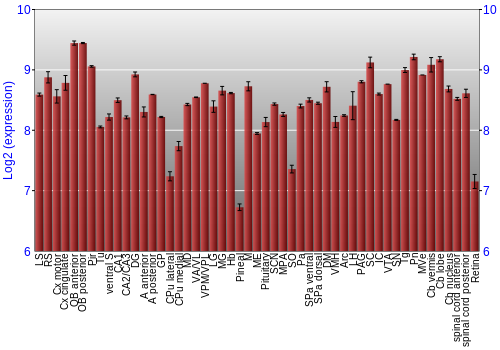 Expression graph