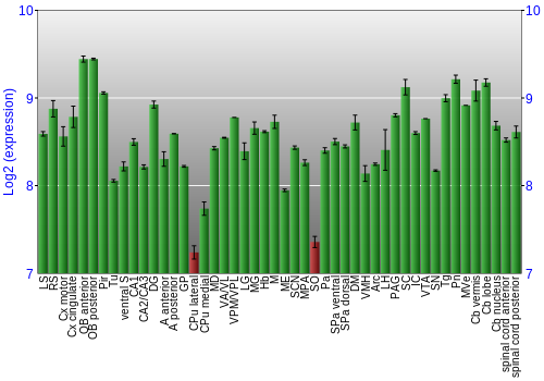 Multi-state expression graph