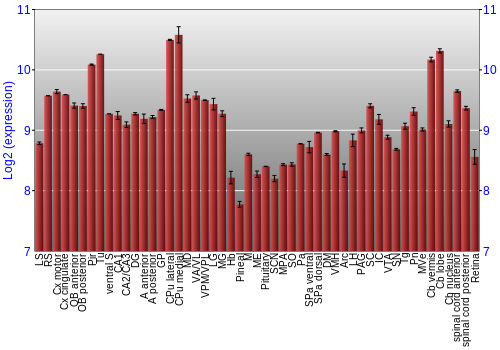 Expression graph