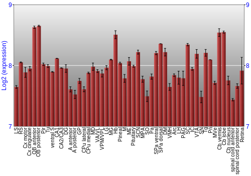 Expression graph