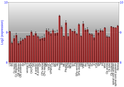 Expression graph
