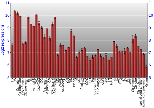Expression graph