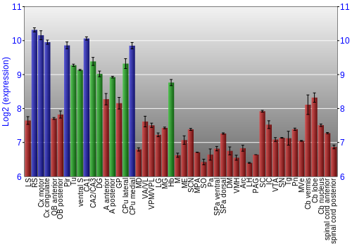Multi-state expression graph