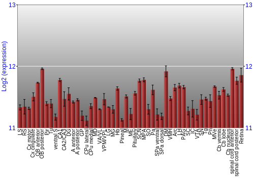 Expression graph