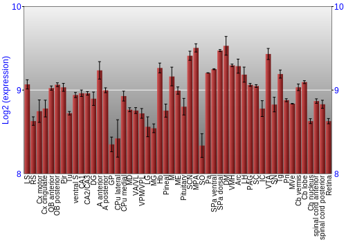 Expression graph