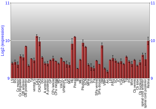 Expression graph