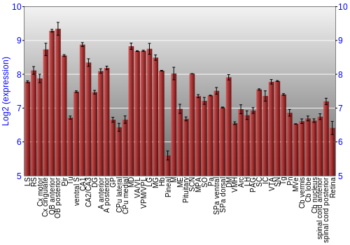 Expression graph