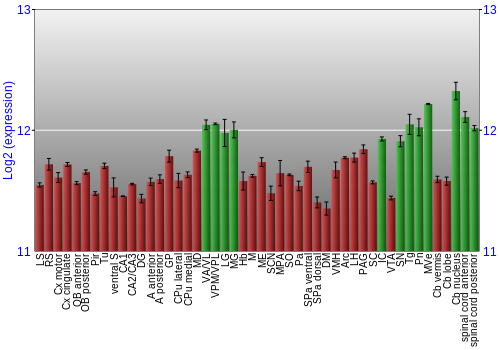 Multi-state expression graph