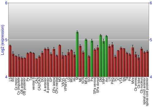 Multi-state expression graph