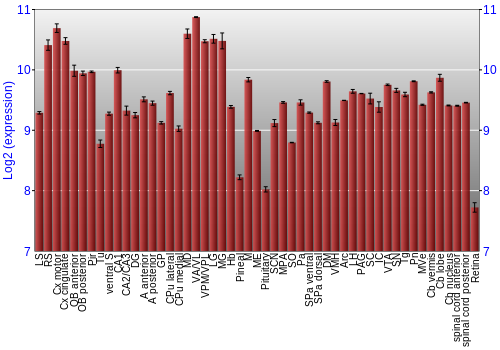 Expression graph