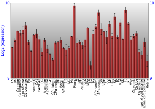 Expression graph