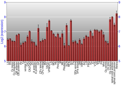 Expression graph