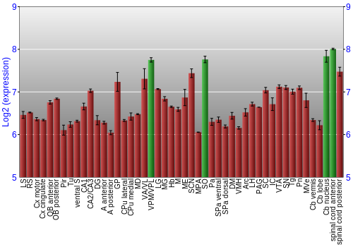 Multi-state expression graph
