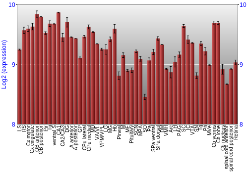 Expression graph