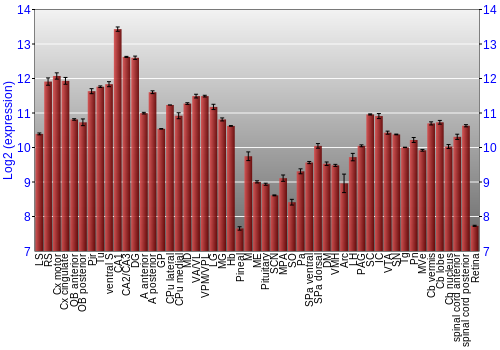 Expression graph