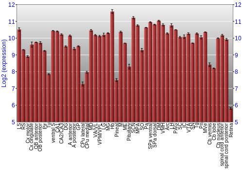 Expression graph