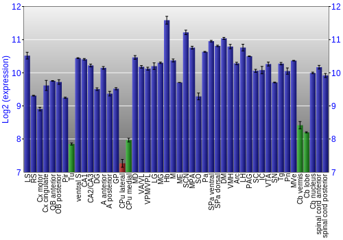 Multi-state expression graph