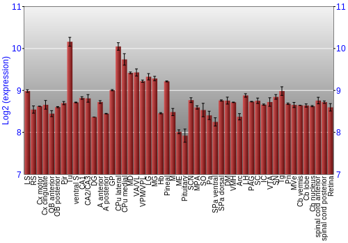 Expression graph