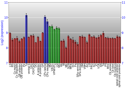 Multi-state expression graph
