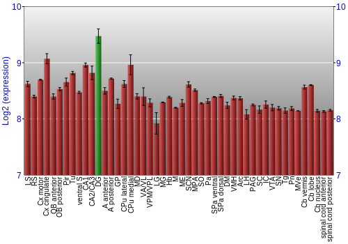 Multi-state expression graph