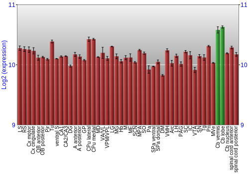 Multi-state expression graph