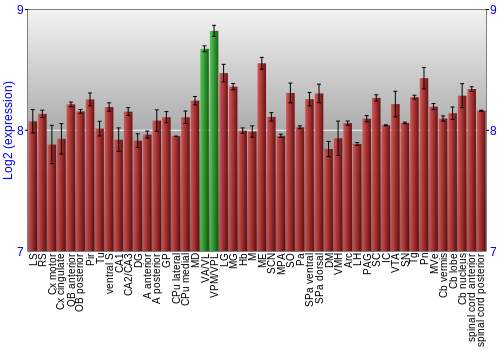 Multi-state expression graph