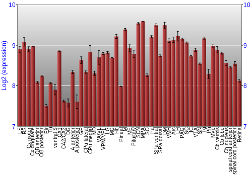Expression graph