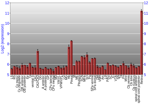 Expression graph