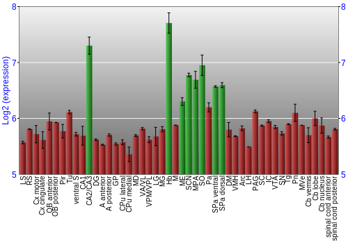 Multi-state expression graph