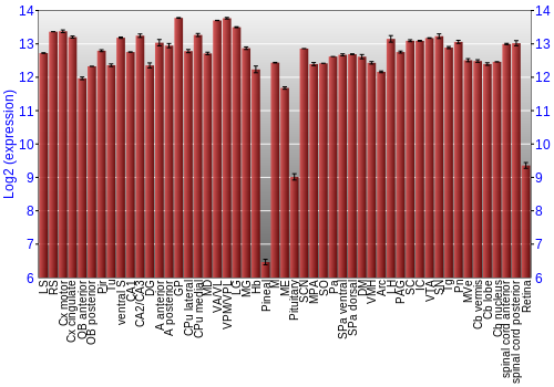 Expression graph