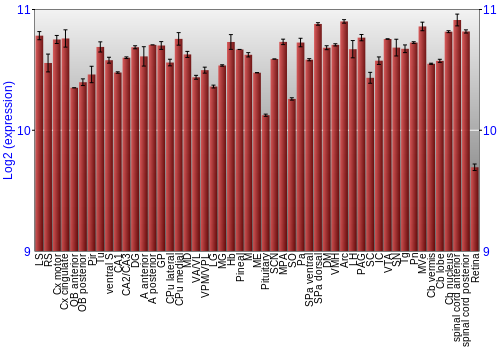 Expression graph