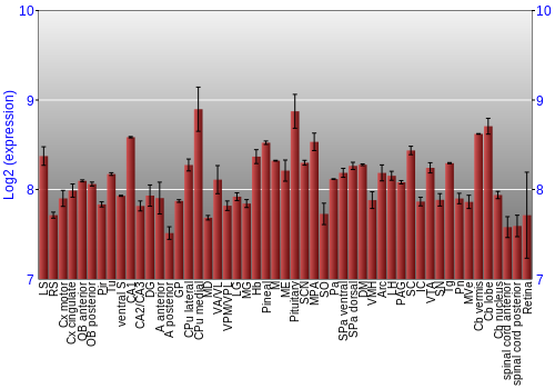 Expression graph