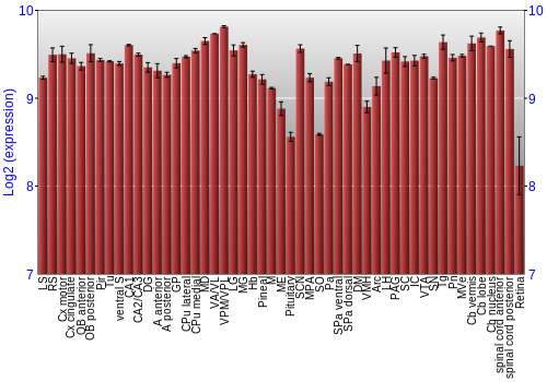Expression graph