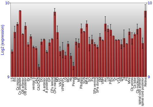 Expression graph