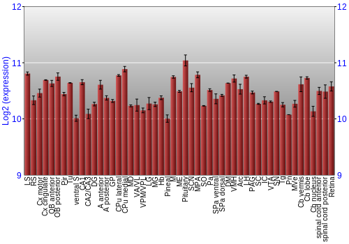 Expression graph