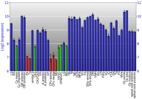 Multi-state expression graph