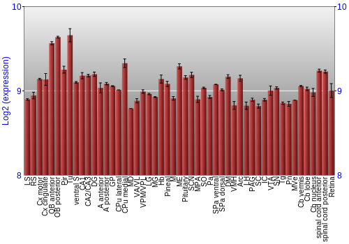 Expression graph