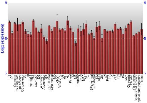 Expression graph